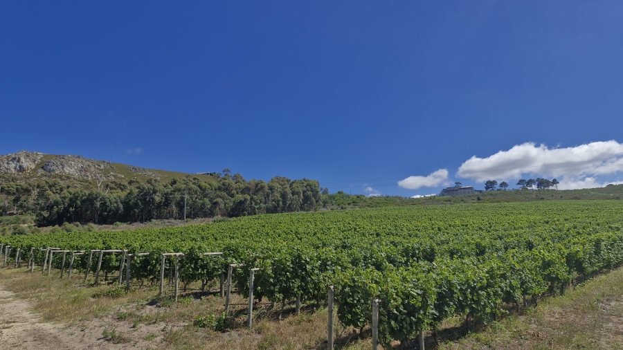 0 Bedroom Property for Sale in Hemel and Aarde Western Cape